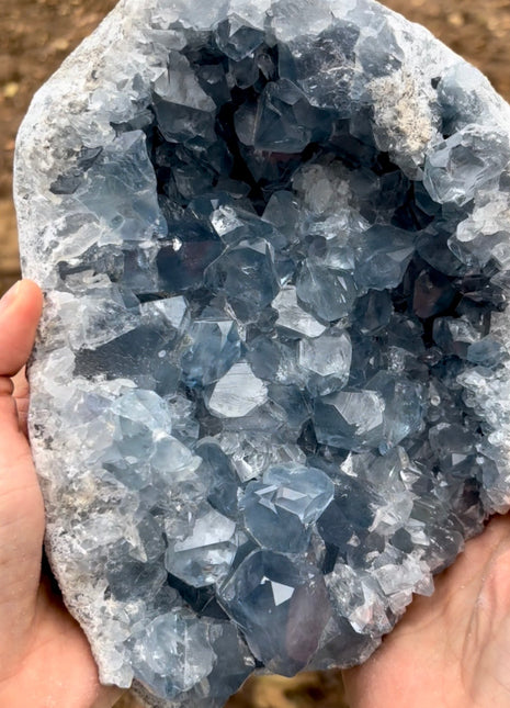 Sky Blue Celestite Geode 💎