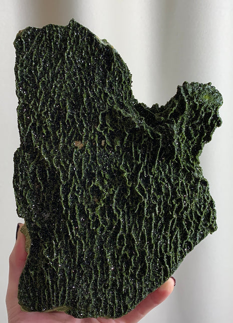 Incredible Forest Epidote 🌲