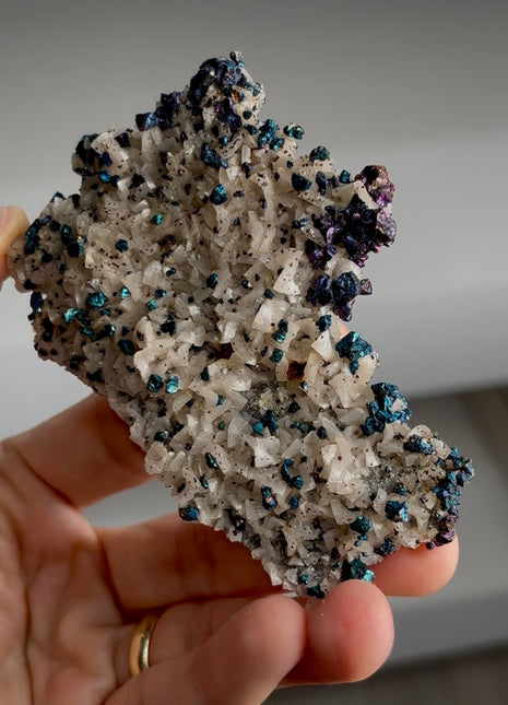 Both-sided Blue Chalcopyrite from Sweetwater mine PM0262