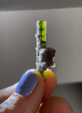 New ! Green Tourmaline with Lepidolite