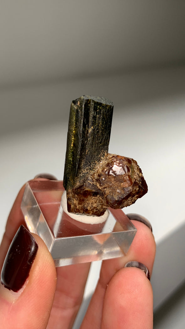 New Arrival ! Red Garnet var. Andradite with Glossy Epidote - From Mali