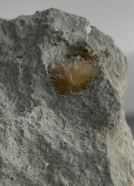 Bursting Sun Aragonite in Cluster - From Pantoja, Spain