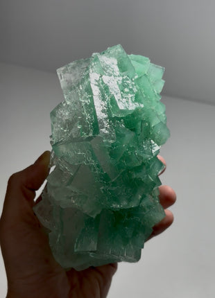 Green Halite Collection # 664