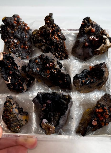 9 Piece Lot ! Black Goethite with Red Vanadinite