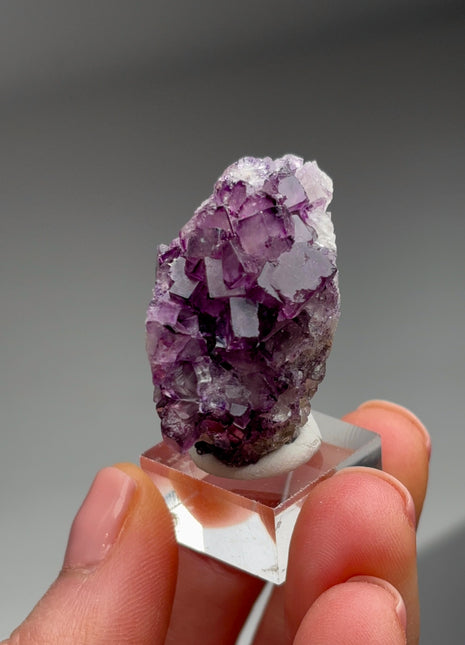 Purple Fluorite from Okorusu, Namibia