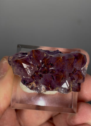 Red Amethyst Flower - From Thunder Bay, Canada