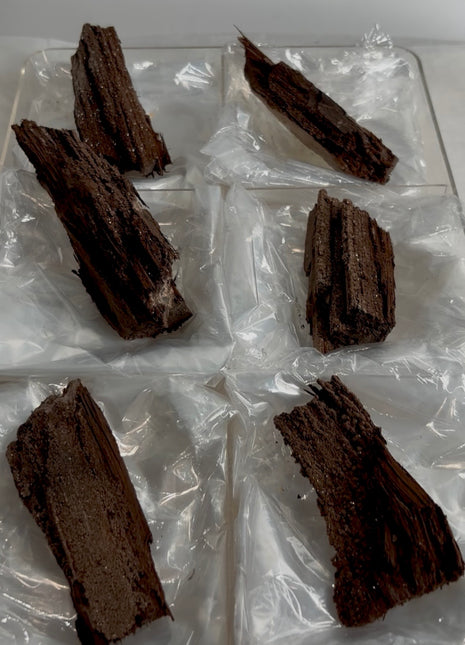 6 Pieces ! Permineralized Fossil Wood Fairy Wood Lot