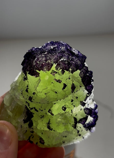 Green and Purple Fluorite PM0448