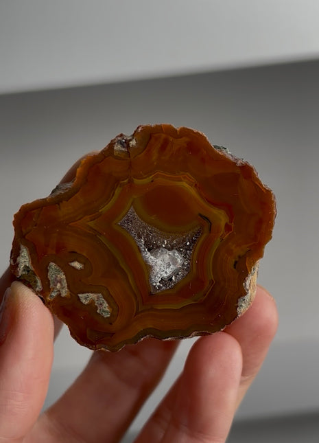 Condor Agate from Argentina