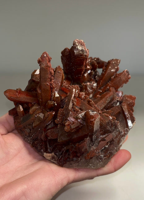 Red Chocolate Quartz