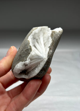 Scolecite Geode with Druzy Quartz