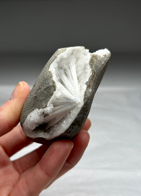 Scolecite Geode with Druzy Quartz