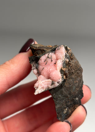 Pink Rhodocrosite - From Potosi mine