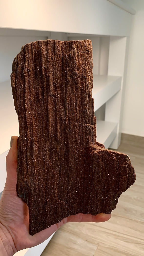 Stunning and Rare Permineralized Fossil Wood with Quartz - From Germany