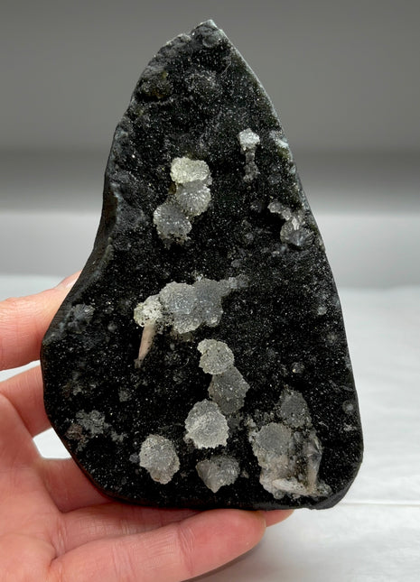 Very High Grade Druzy Black Chalcedony Geode