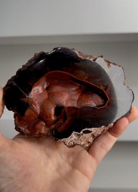 Red Fox Agate Geode from Argentina