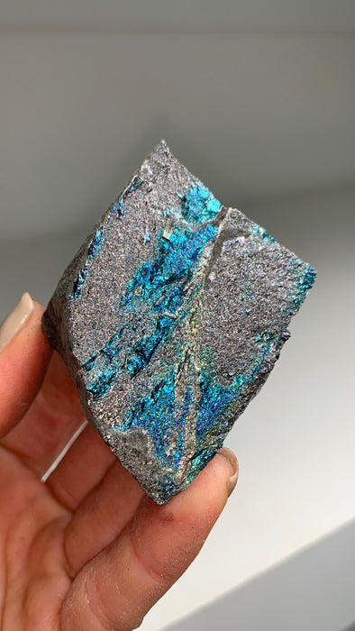 Metallic Blue Bornite Specimen 🌈 - From Lubin mine, Poland