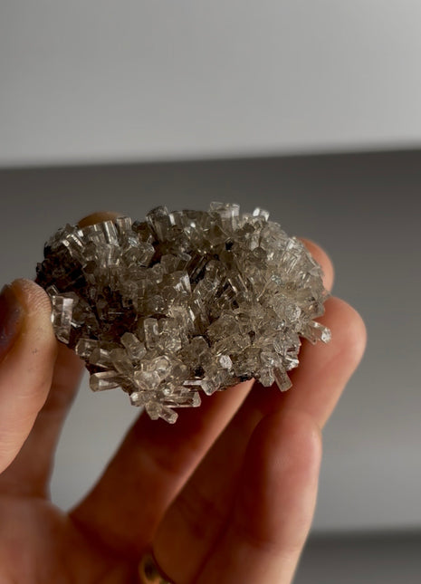 New arrival ! Optical Gemmy Calcite