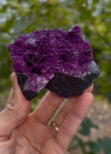 Finest ! Kammererite Specimen Collection # 635