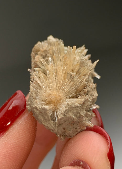 Bursting Sun Aragonite in Cluster - From Pantoja, Spain