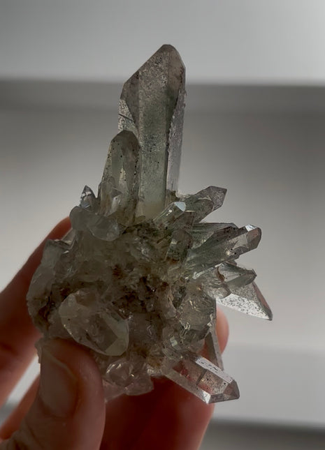 Green and Red Phantom Quartz PM0775