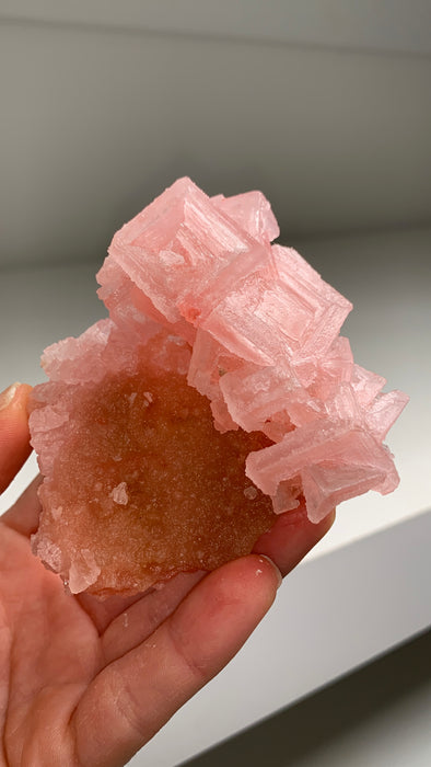 Pink Halite with Great Crystallization - from Searles Lake, California 38