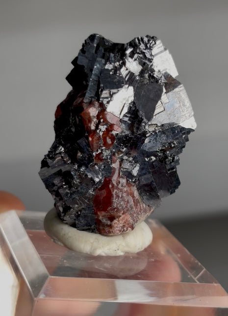 Red Rhodonite with Galena PM0269