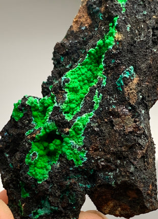 Vibrant Green Conichalcite ! From Spain