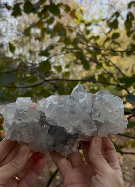Brilliant Apophyllite with Pink Stilbite Special Price 💥