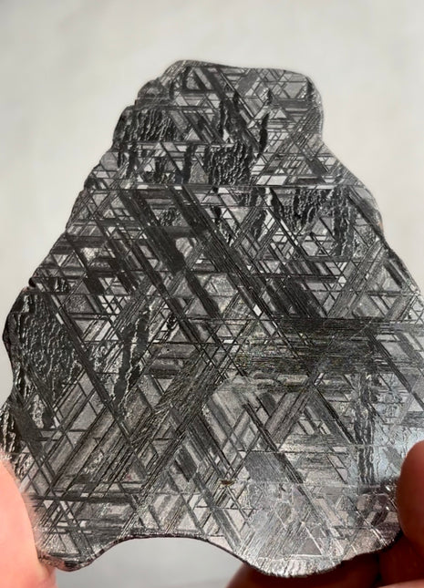Muonionalusta Meteorite Collection # 813