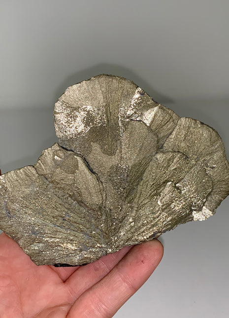 Pyrite Sun - From Sparta, Illinois DWS