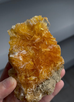 Golden Honey Selenite Flower from Peru