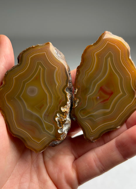 Rare ! Sumatra Agate Pair