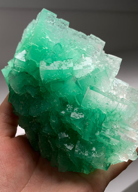 Cubic Green Halite with Atacamite inclusions - From Lubin mine, Poland