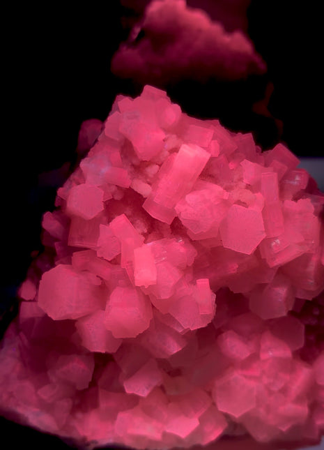 Intense Pink Aragonite from Italy, Old Collection # 821