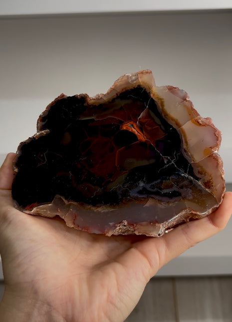 Unusual color ! Red Fox Agate from Argentina