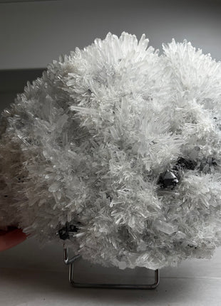 Amazing ! Quartz Flowers with Sphalerite Collection # 363