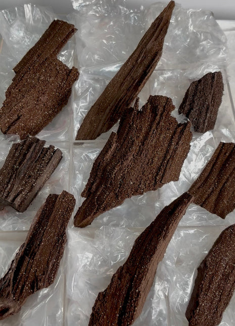 9 Piece Lot ! Rare Permineralized Fossil Wood with Quartz - From Germany