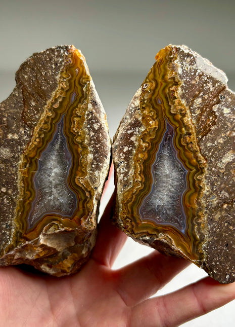 Unusual ! Black Sea Agate Pair*
