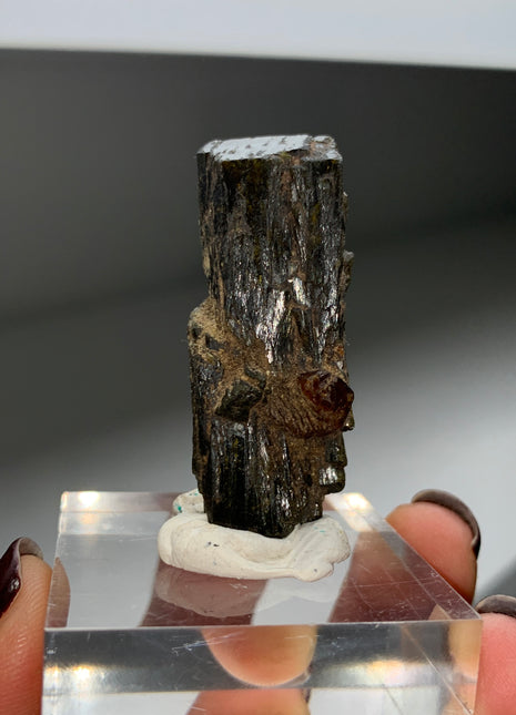 New Arrival ! Red Garnet var. Andradite with Glossy Epidote - From Mali DWS