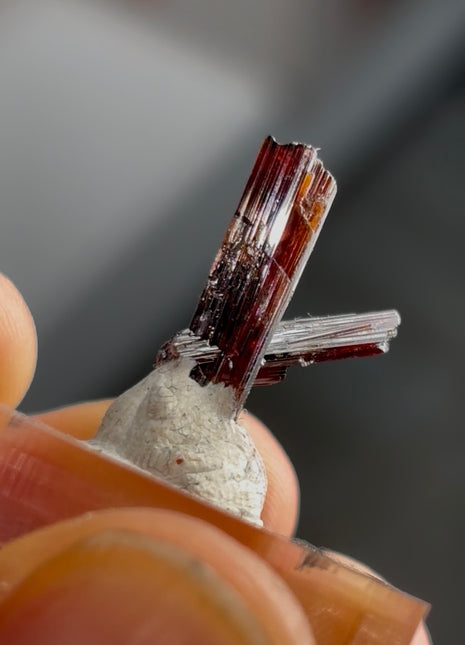 Red Rutile from Diamantina mine, 1990s find PM0857