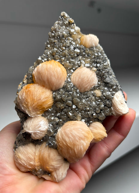 Pink Barite Rose with Cerussite and Galena DWS