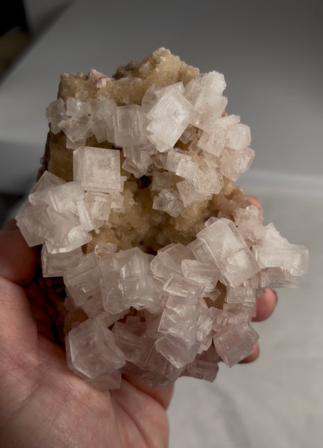 Rare ! Pink and Cream Color Halite