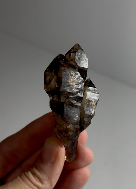 Elestial Smoky Quartz - From Namibia Special Price 💥