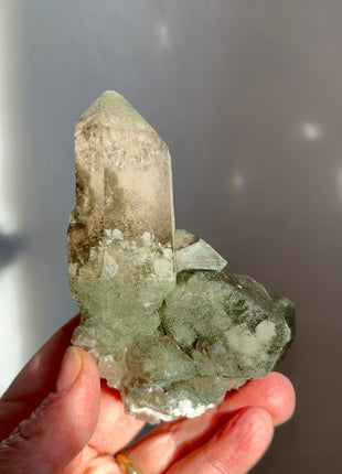 Alpine Smoky Quartz with Green Chlorite ! Wow