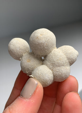 Adorable ! Calcite after Sandcalcite Balls from Hungary DWS