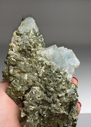 Amazing ! Blue Barite with Pyrite