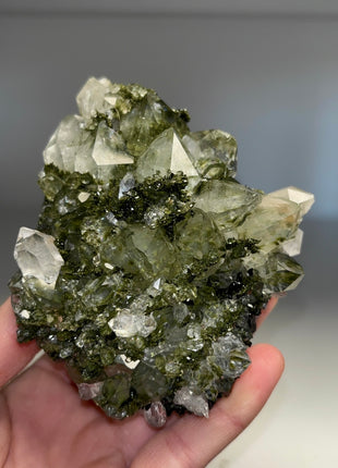 Forest Epidote with Quartz