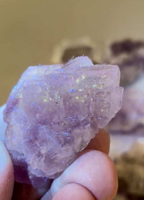 12 Pieces ! Galaxy Fluorite Lot