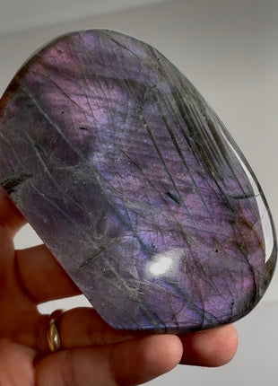 Incredibly Colorful Labradorite PM0561